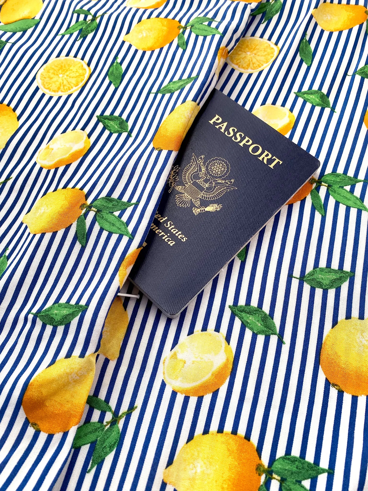 The Travel Bite Limoncello Navy Scarf